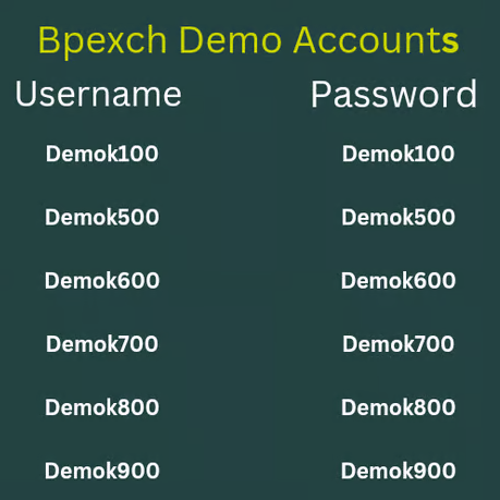 BPExch Demo Account